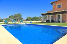 villa, schwimmbad, ferienvermietung, mallorca, sommer