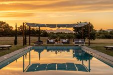 Villa in Orentano - IL CONTE Luxury Tuscany 3 bedrooms Farmhouse Villa with Private Pool and SPA in Orentano