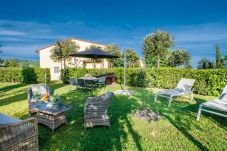 Ferienwohnung in Monte San quirico - Pietro Farmhouse Apartment in Wine Resort in Lucca