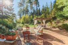 Villa in Camaiore - Villa Birdsong, among the Woods in Camaiore