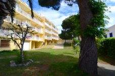 Appartement in L'Escala - APPARTAMENT RIELLS DE MAR A6 1D