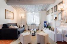 Appartement in Lucca - A Toproof Penthouse Apartment with Elevator and Private Garden Inside the Walls