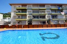 Appartement in Estartit - OMEGA 5 1-D