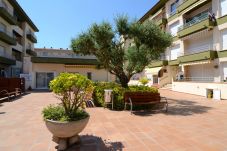 Appartement in Estartit - OMEGA 5 1-D