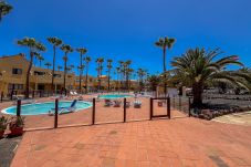 Appartement in Corralejo - Apartamentos Oasis Royal Corralejo F314