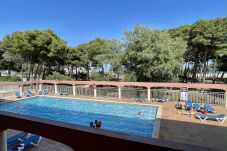 Appartement in Estartit - SALLES BEACH 6