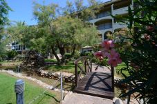 Appartement in Estartit - JARDINS DEL MAR 127