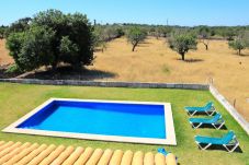 villa, campo, piscina, Can Picafort, jardin