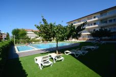 Apartamento en Estartit - Apartamento con piscina FESTASTAR 209