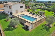 Finca à Muro avec piscine et vue sur la campagne. Sastre 024