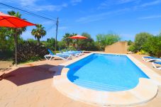 Piscine, nature, terrasse, vacances