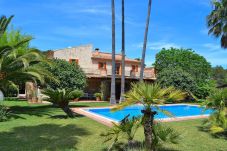 jardin vert, piscine, villa, Mallorca, grande