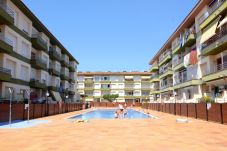 Apartamento em Estartit - OMEGA 5 1-D