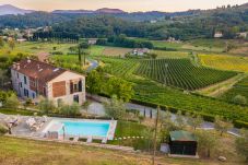 Villa em Lucca - Valle del Sole Winery Farmhouse with Private Pool