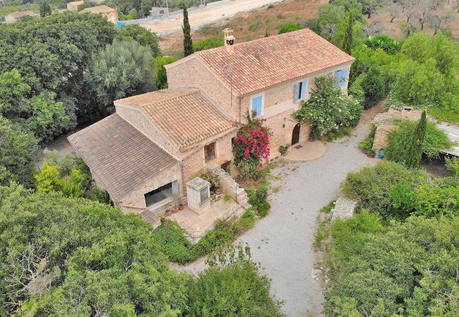  i Llubi - Son Barraquer 047 tradicional finca con piscina y magnífico jardín